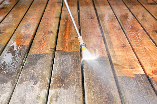 Best Animal Enclosure Cleaning  in Holly Lake Ranch, TX